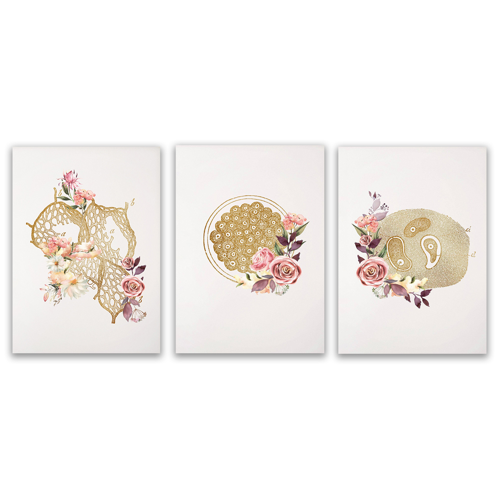 Decoração de escritório para t - Medical Lab Gifts avaliação e preço